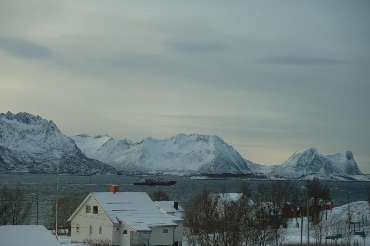 Destination Senja - Skaland Leilighet Eksteriør bilde